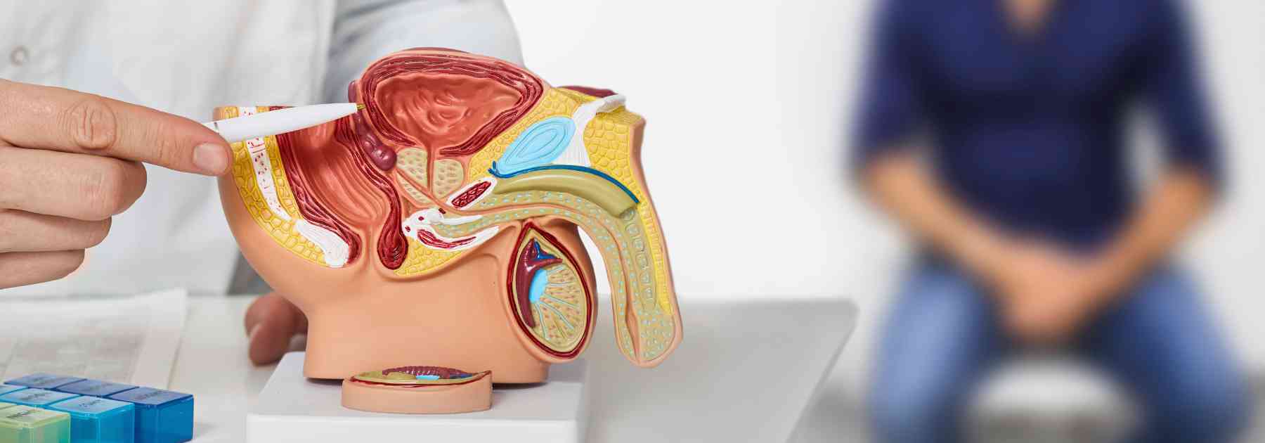 Get support for ED with our men's health services